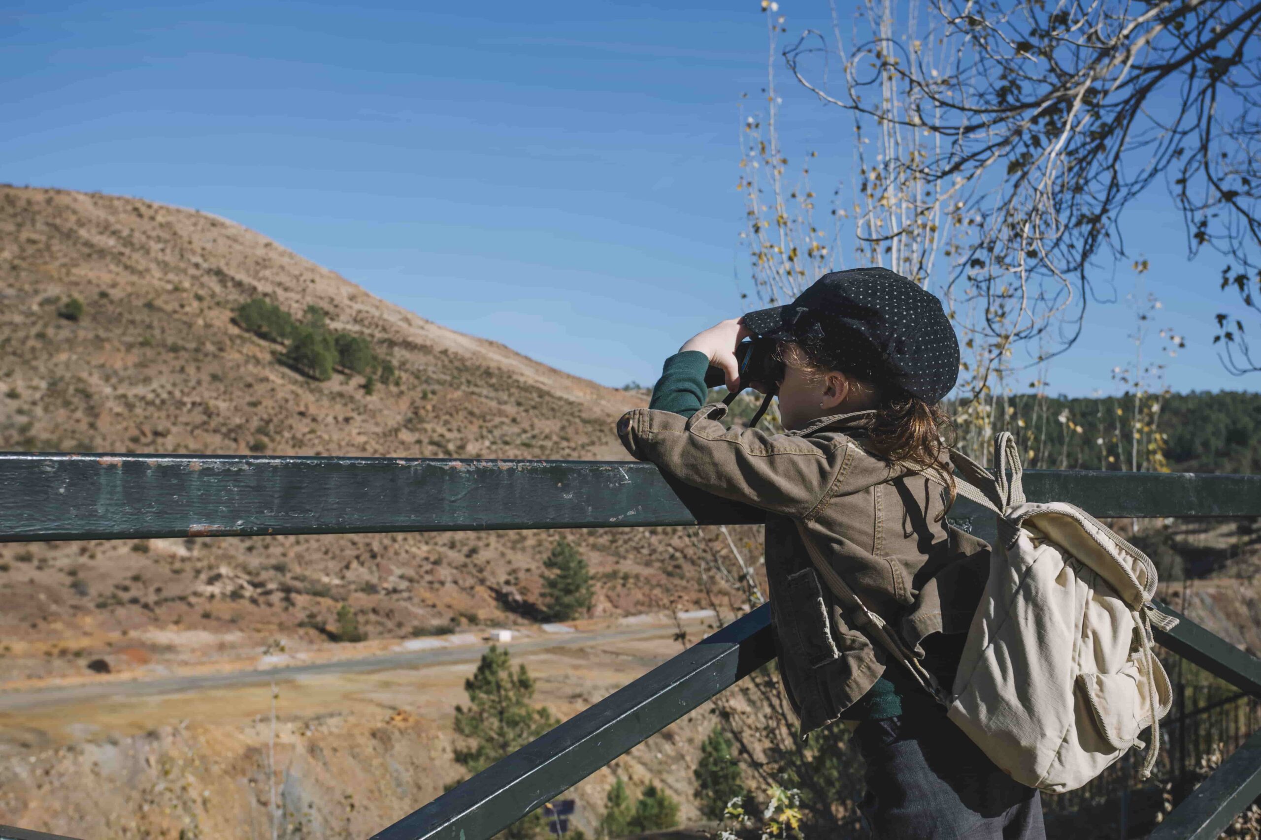 A Guide to Black Bear Hunting in Ontario