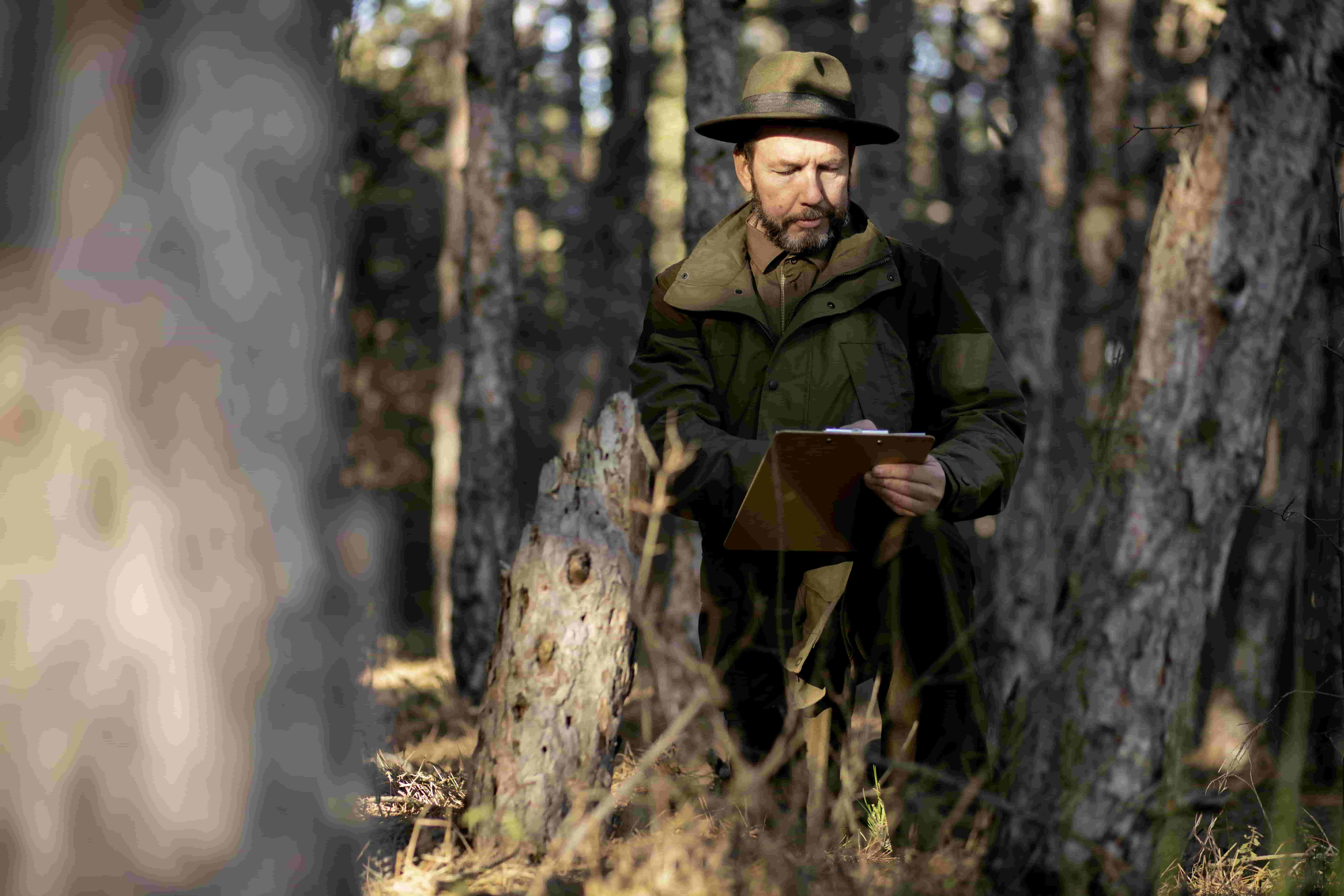 Spring Black Bear Baiting Basics